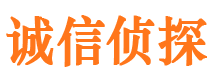 青河寻人公司